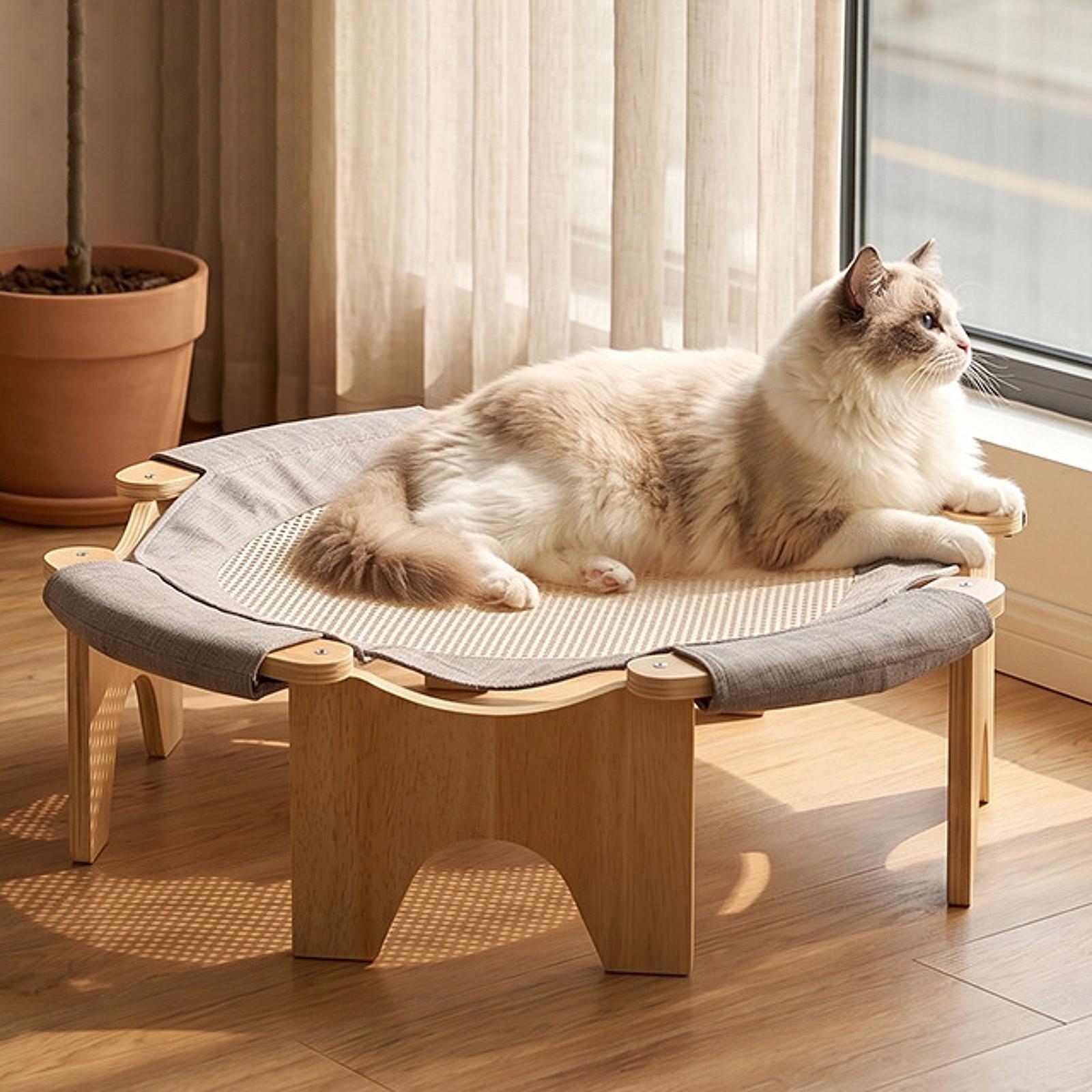 Verhoogd hondenbed van hout, k - Outdoor Furniture Durable recensie en prijs